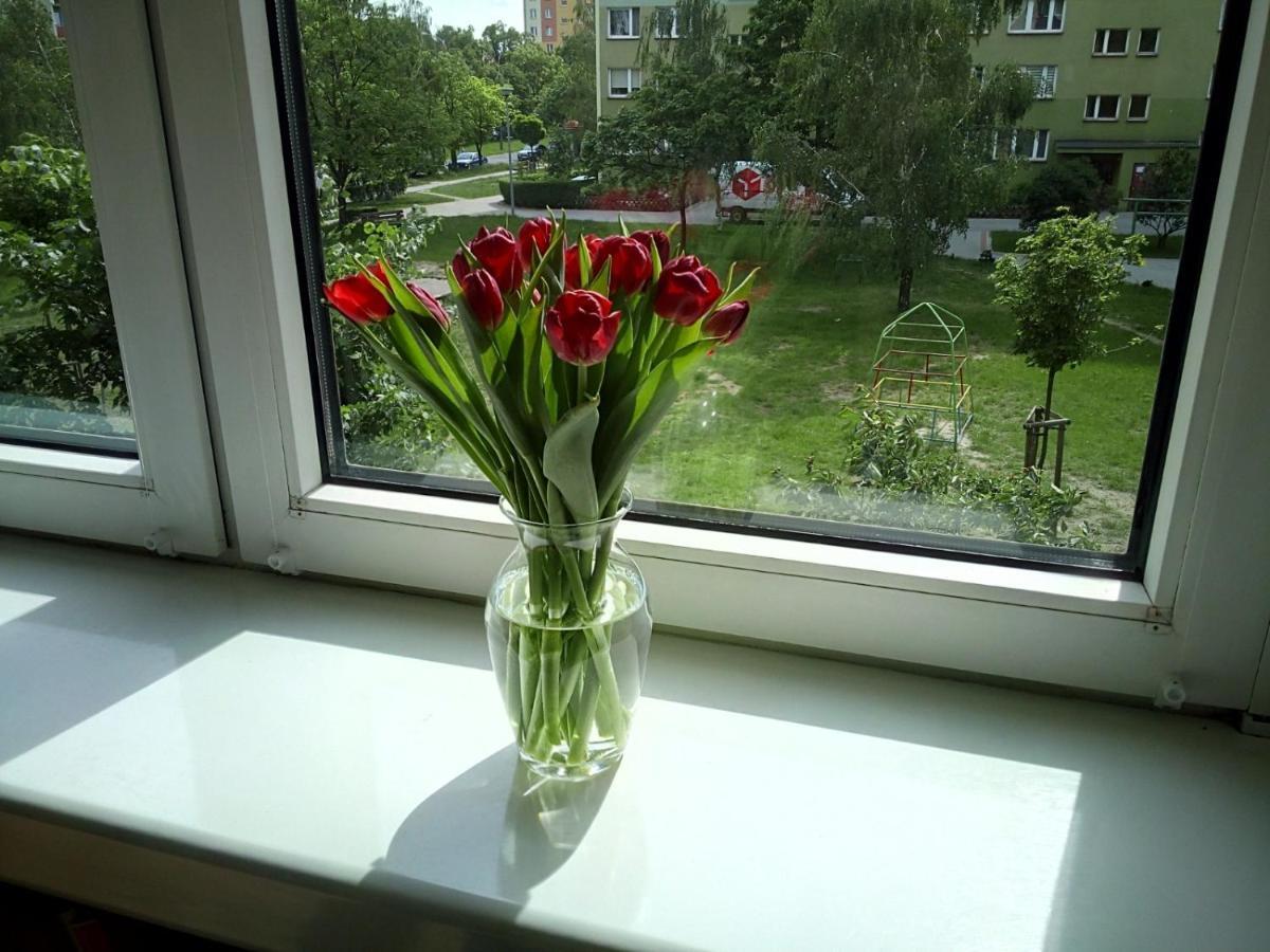 Apartament Usmiech Płock Kültér fotó