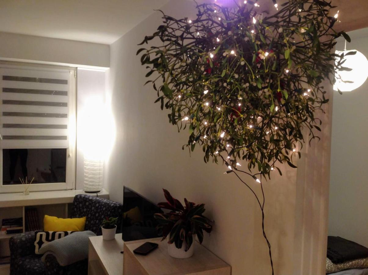 Apartament Usmiech Płock Kültér fotó